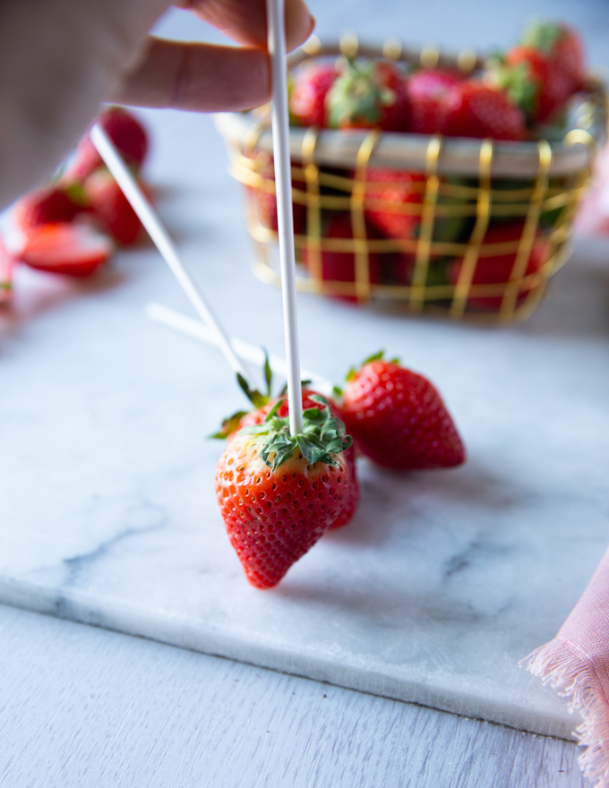 fresh strawberries with a lollipop stick attached in the middle