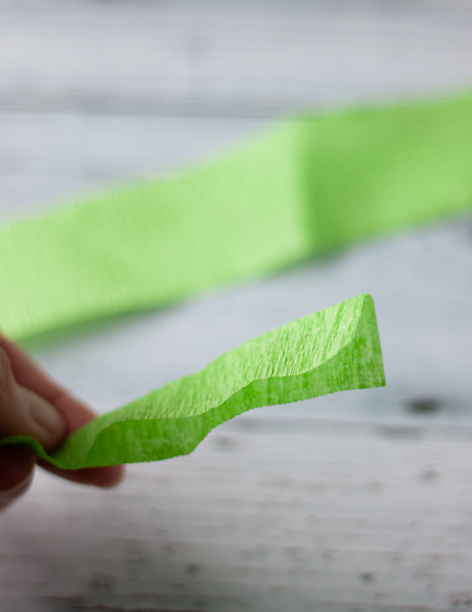 Green Crepe paper folded in half